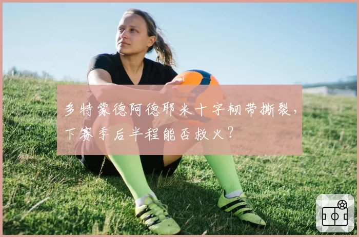 多特蒙德阿德耶米十字韧带撕裂，下赛季后半程能否救火？