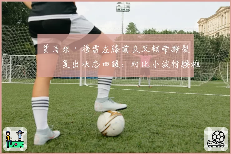 贾马尔·穆雷左膝前交叉韧带撕裂后复出状态回暖，对比小波特腰椎手术恢复后爆发力骤降，掘金双核伤愈轨迹分化明显
