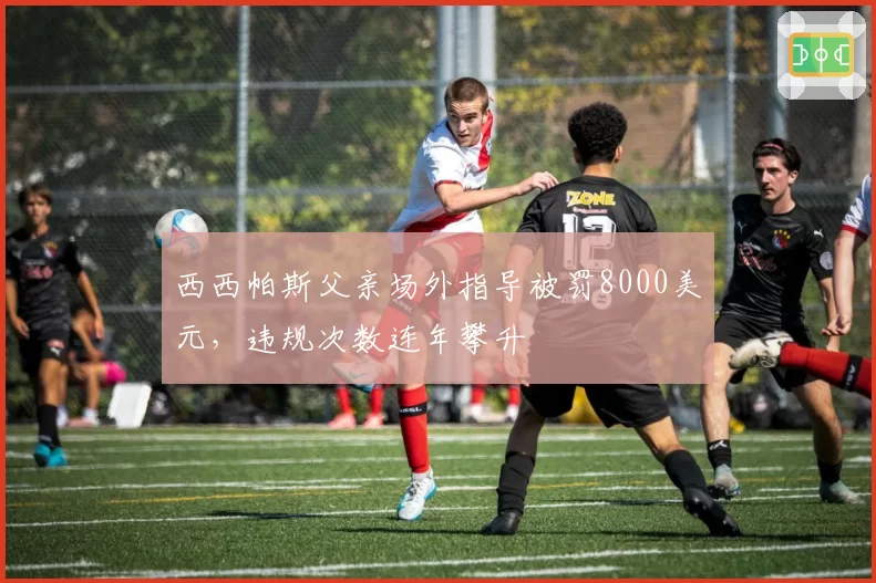 西西帕斯父亲场外指导被罚8000美元，违规次数连年攀升