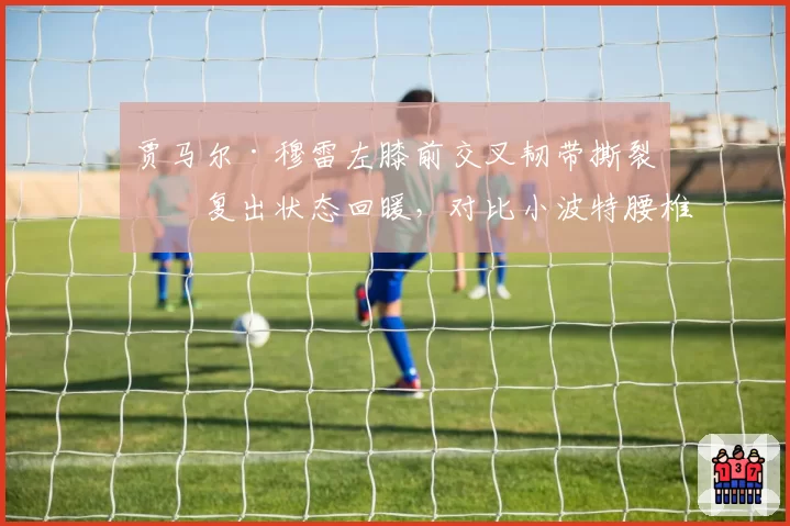 贾马尔·穆雷左膝前交叉韧带撕裂后复出状态回暖,对比小波特腰椎手术恢复后爆发力骤降,掘金双核伤愈轨迹分化明显