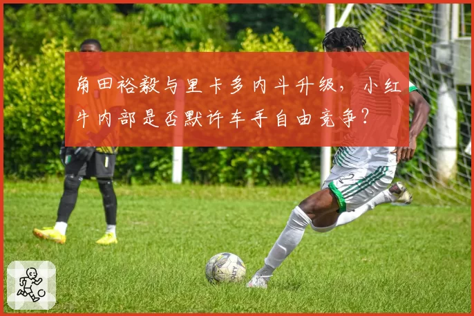 角田裕毅与里卡多内斗升级，小红牛内部是否默许车手自由竞争？
